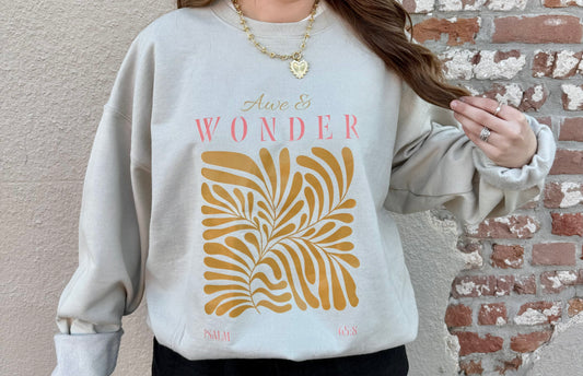 PRE-ORDER | AWE & WONDER SWEATSHIRT