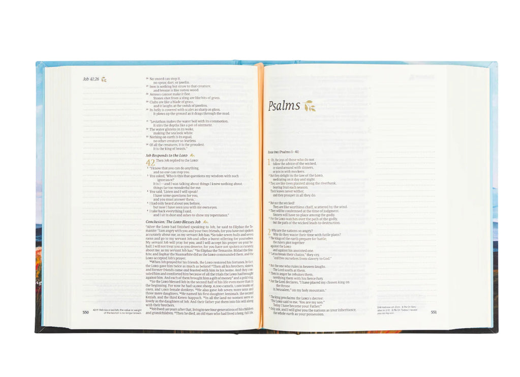 NLT NOTETAKING BIBLE : ROAN MOUNTAIN THEME