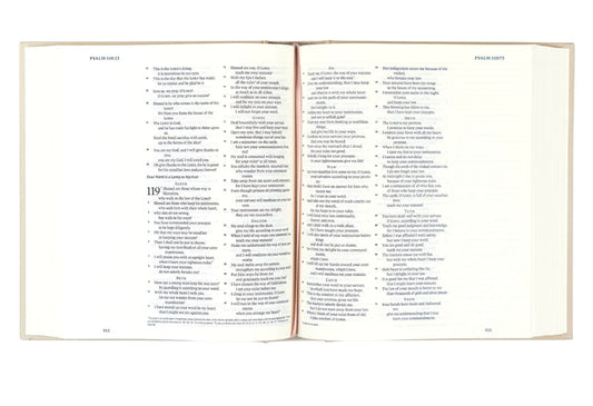 ESV JOURNALING BIBLE: SALAMANCA THEME